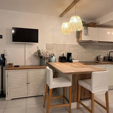 Perle Des Sables Blancs, Entier A 100m De La Avec Parking Prive Apartment Concarneau